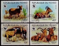 Набор почтовых марок (4 шт.). "WWF - муфлоны". 1988 год, Чад.