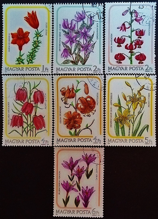 Набор почтовых марок (7 шт.). "Лилии". 1985 год, Венгрия. Набор почтовых марок (7 шт.). "Лилии". 1985 год, Венгрия.