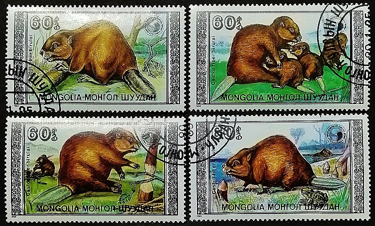 Набор почтовых марок (4 шт.). "Бобры". 1989 год, Монголия.