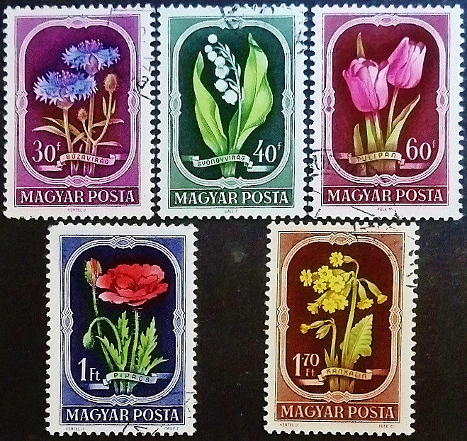 Набор почтовых марок (5 шт.). "Венгерская флора". 1951 год, Венгрия.