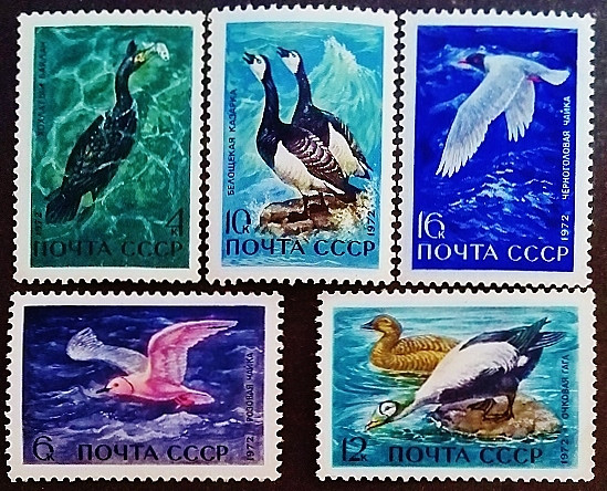 Набор марок (5 шт.). "Морские птицы". 1972 год, СССР.