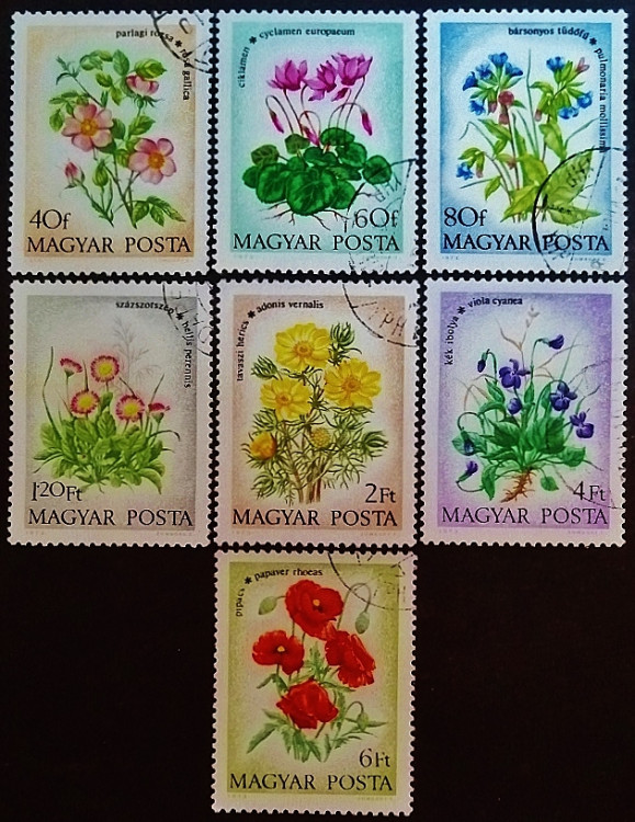 Набор почтовых марок (7 шт.). "Цветы". 1973 год, Венгрия.