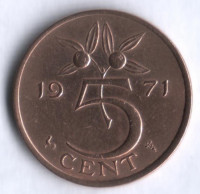 Монета 5 центов. 1971 год, Нидерланды.