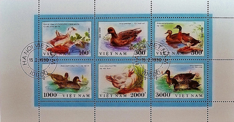 Блок почтовых марок (6 шт.). "Утки (I)". 1990 год, Вьетнам.