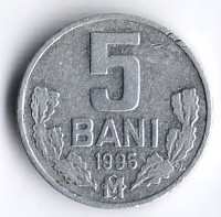 Монета 5 баней. 1995 год, Молдова.