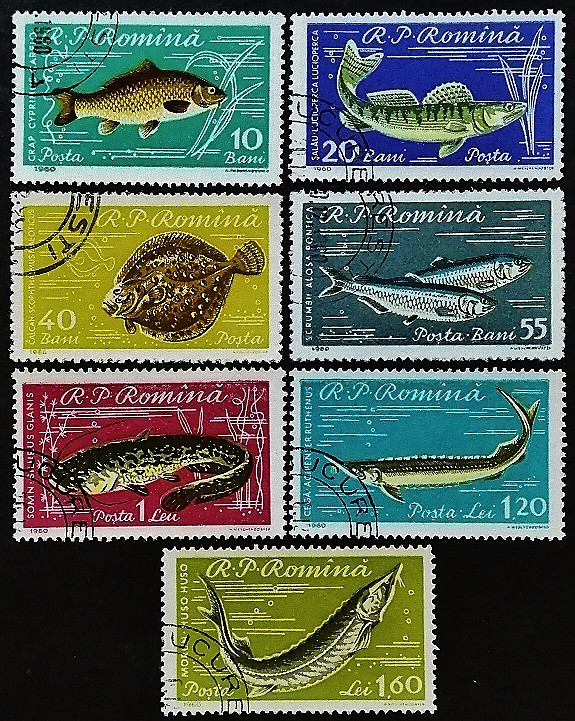Набор почтовых марок (7 шт.). "Местные рыбы". 1960 год, Румыния.