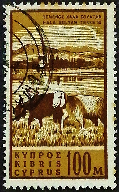 Почтовая марка (100 m.). "Стандарт". 1962 год, Кипр. Почтовая марка (100 m.). "Стандарт". 1962 год, Кипр.