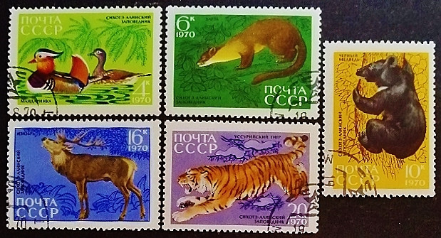 Набор почтовых марок (5 шт.). "Животные Сихотэ-Алинского заповедника". 1970 год, СССР.