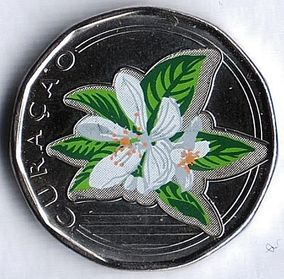 Монета 50 центов. 2025 год, Кюрасао. Цветная.