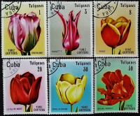 Набор почтовых марок (6 шт.). "Тюльпаны". 1982 год, Куба.