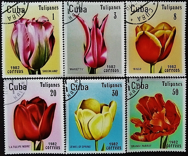 Набор почтовых марок (6 шт.). "Тюльпаны". 1982 год, Куба.