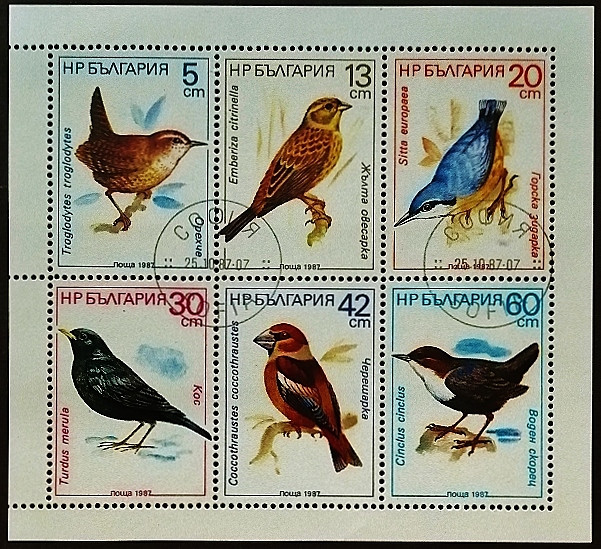 Набор почтовых марок в сцепке (6 шт.). "Птицы". 1987 год, Болгария.