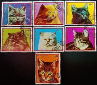 Набор почтовых марок (7 шт.). "Кошки". 1982 год, Парагвай.