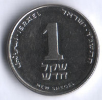 Монета 1 новый шекель. 1996 год, Израиль.