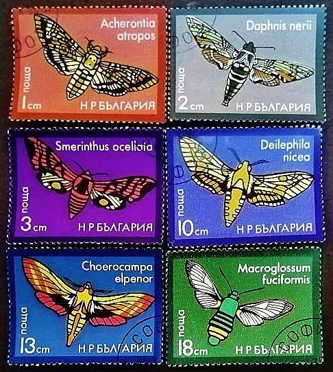 Набор почтовых марок (6 шт.). "Мотыльки". 1975 год, Болгария.