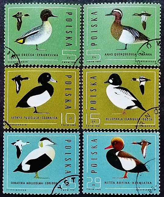 Набор почтовых марок (6 шт.). "Дикие утки". 1985 год, Польша. Набор почтовых марок (6 шт.). "Дикие утки". 1985 год, Польша.
