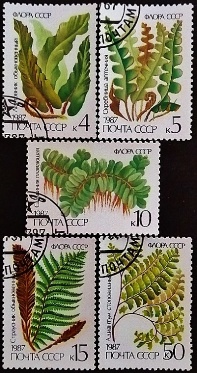 Набор почтовых марок (5 шт.). "Флора СССР - Папоротники". 1987 год, СССР.