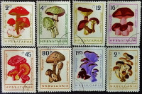 Набор почтовых марок (8 шт.). "Грибы". 1961 год, Болгария.