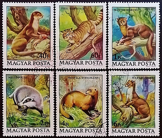 Набор почтовых марок (6 шт.). "Дикие животные". 1979 год, Венгрия.