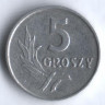 Монета 5 грошей. 1961 год, Польша.