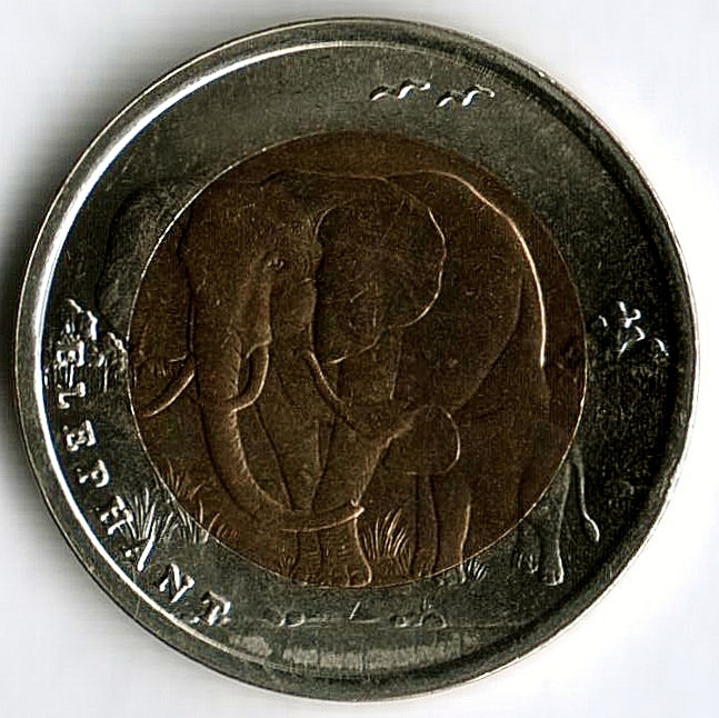 Монета 1 лира. 2009 год, Турция. Слоны.