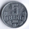 Монета 5 баней. 2008 год, Молдова.