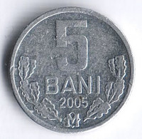 Монета 5 баней. 2005 год, Молдова.