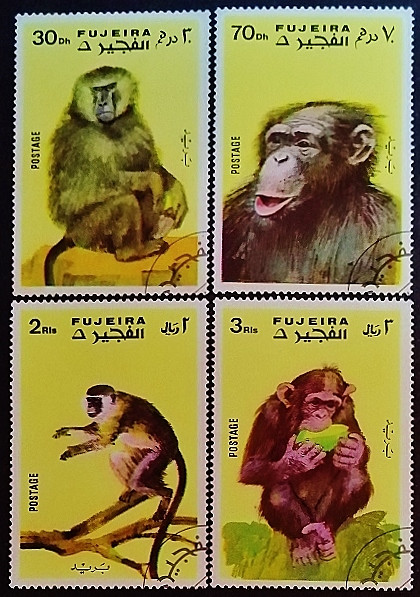 Набор марок (4 шт.). "Обезьяны". 1971 год, Фуджейра.