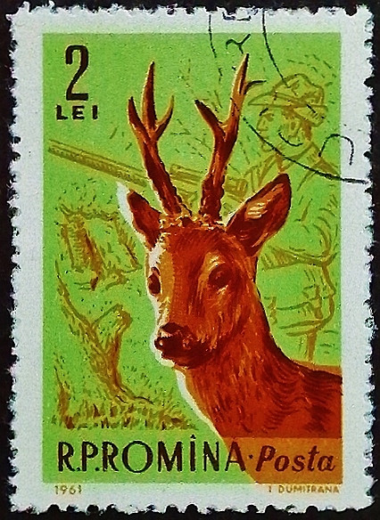 Почтовая марка (2 l.). "Европейская косуля". 1961 год, Румыния.