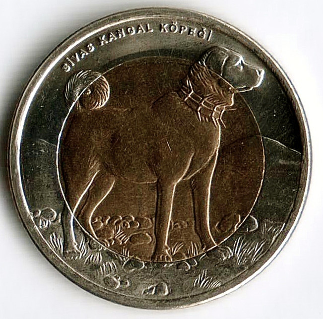 Монета 1 лира. 2010 год, Турция. Собака.