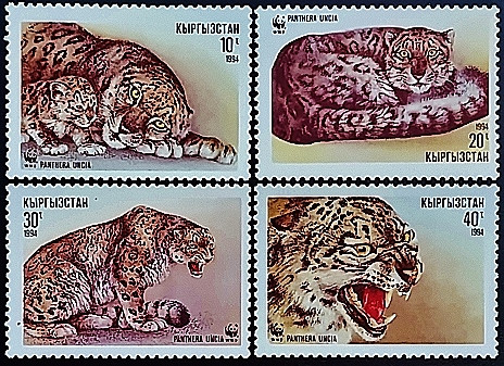 Набор марок (4 шт.). "Снежный барс". 1994 год, Кыргызстан. Набор марок (4 шт.). "Снежный барс". 1994 год, Кыргызстан.