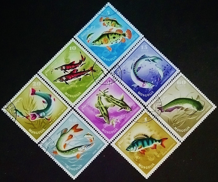 Набор почтовых марок (8 шт.). "Рыбы". 1965 год, Монголия.