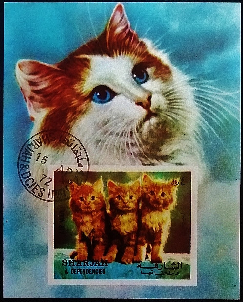 Мини-блок. "Кошки". 1972 год, Шарджа.