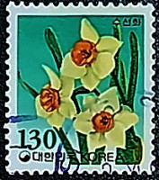 Почтовая марка (130 w.). "Нарцисс". 1994 год, Южная Корея.