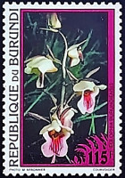 Марка почтовая (115 f.). "Эулофия бурундийская". 1995 год, Бурунди.