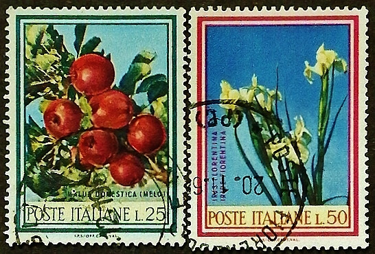 Набор почтовых марок (2 шт.). "Флора". 1967 год, Италия.