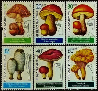 Набор почтовых марок (6 шт.). "Грибы". 1987 год, Болгария.
