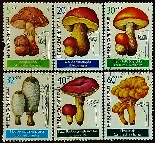 Набор почтовых марок (6 шт.). "Грибы". 1987 год, Болгария.