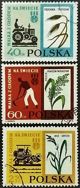 Набор почтовых марок (3 шт.). "FAO". 1963 год, Польша.