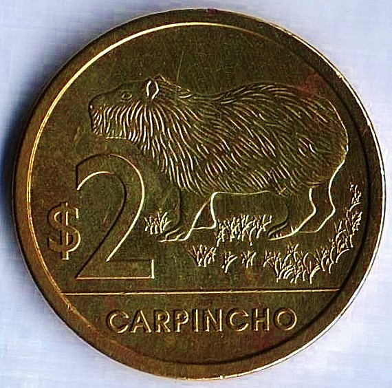 Монета 2 песо. 2014 год, Уругвай. Водосвинка.