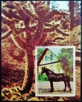 Мини-блок. "Лошади". 1972 год, Шарджа.