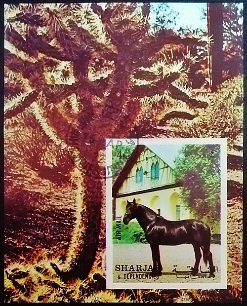 Мини-блок. "Лошади". 1972 год, Шарджа. Мини-блок. "Лошади". 1972 год, Шарджа.