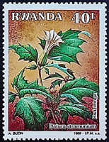 Марка почтовая (40 f.). "Дурман". 1989 год, Руанда.