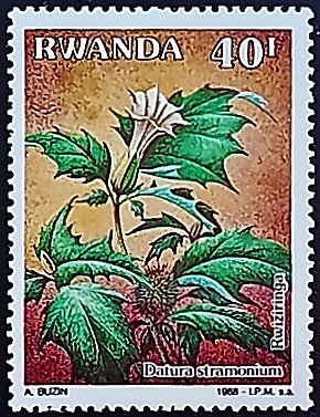 Марка почтовая (40 f.). "Дурман". 1989 год, Руанда.