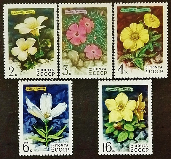Набор марок (5 шт.). "Сибирская флора". 1977 год, СССР.