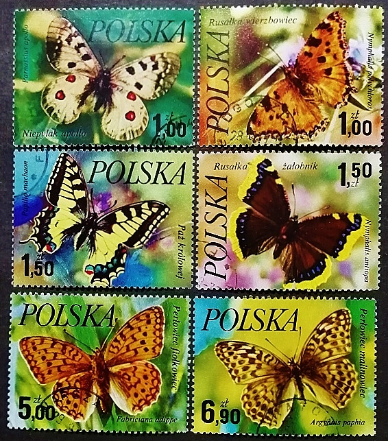 Набор почтовых марок (6 шт.). "Бабочки". 1977 год, Польша.