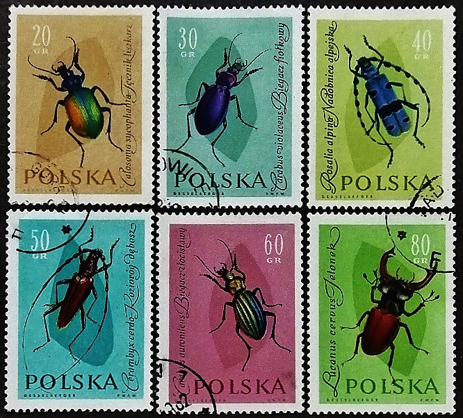 Набор почтовых марок (6 шт.). "Насекомые (I)". 1961 год, Польша.