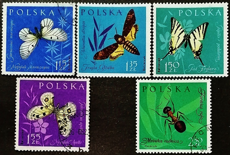 Набор почтовых марок (5 шт.). "Насекомые (II)". 1961 год, Польша.