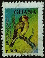 Почтовая марка. "Стандарт - Птицы". 2000 год, Гана.
