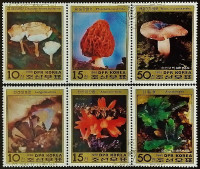 Набор почтовых марок (6 шт.). "Минералы и грибы". 1986 год, КНДР.